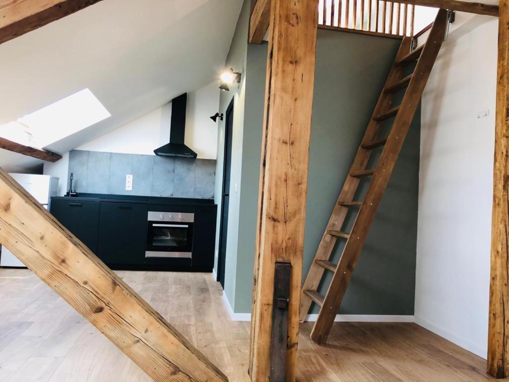 Les Appartements De Romain Et Julien Dijon Eksteriør bilde