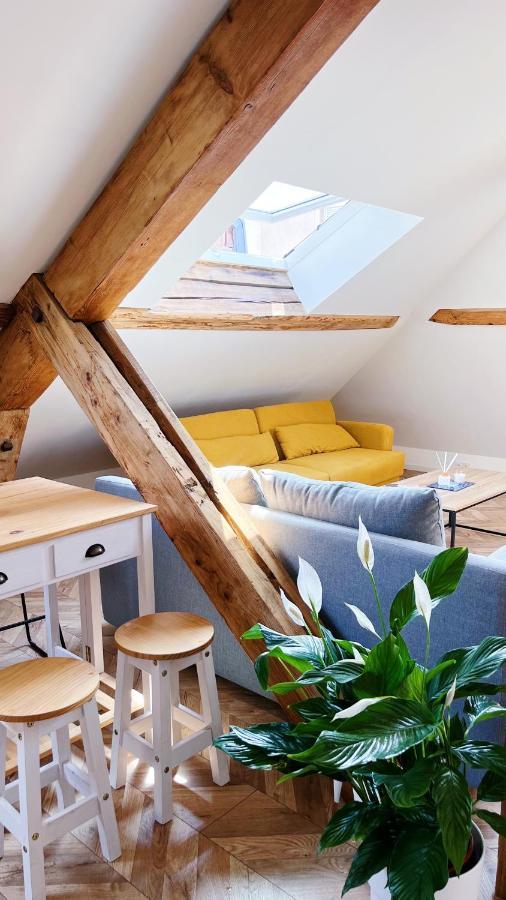 Les Appartements De Romain Et Julien Dijon Eksteriør bilde