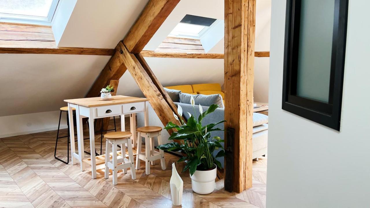 Les Appartements De Romain Et Julien Dijon Eksteriør bilde