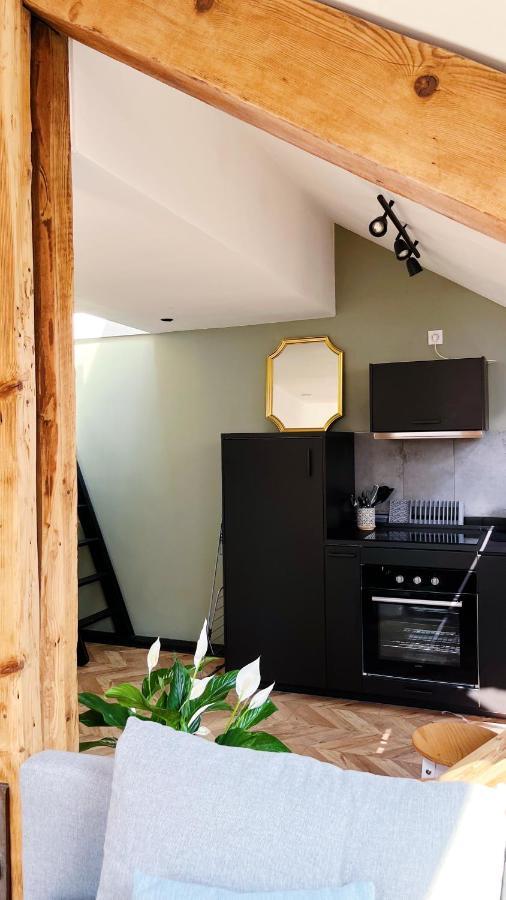 Les Appartements De Romain Et Julien Dijon Eksteriør bilde