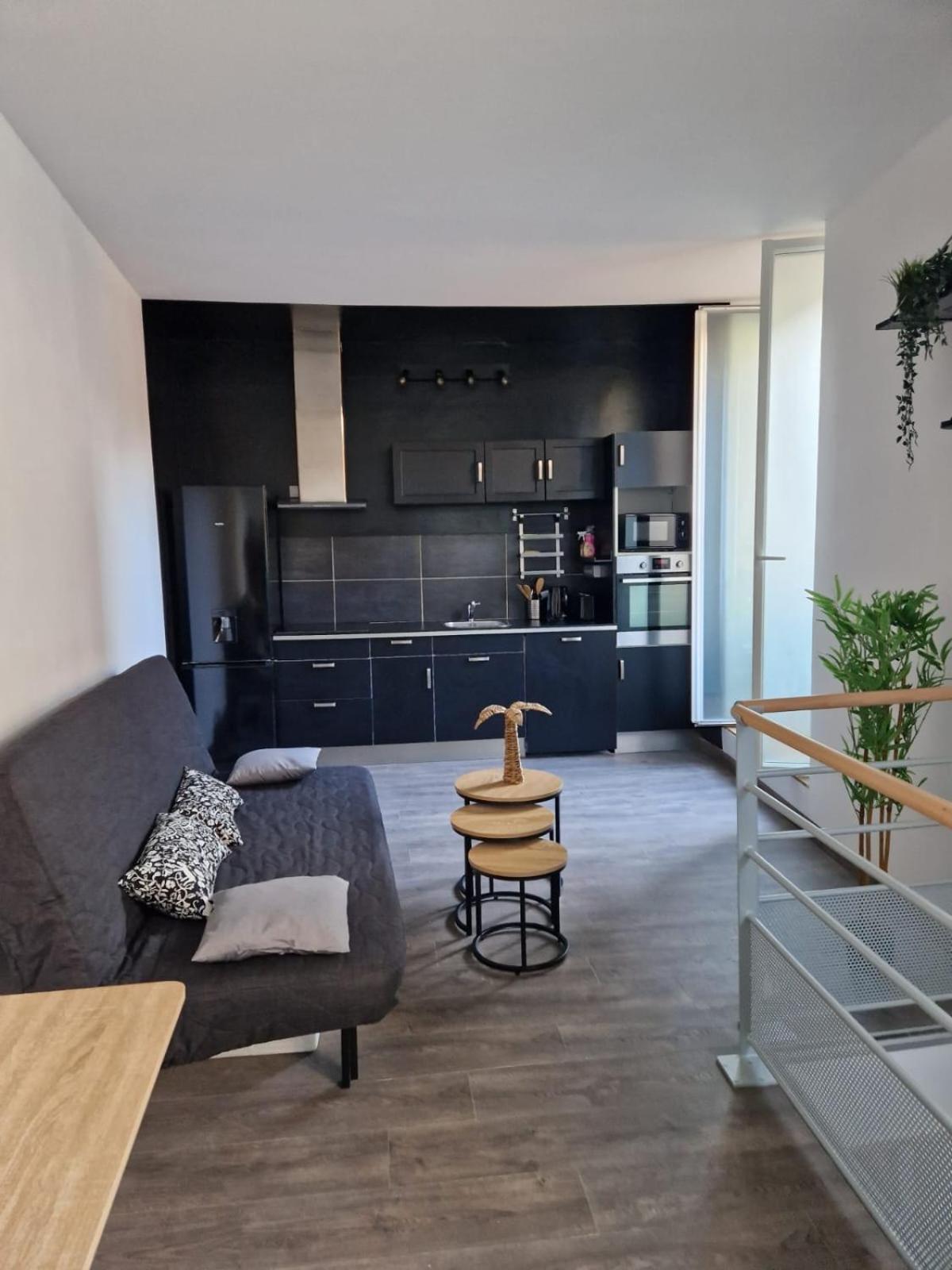 Les Appartements De Romain Et Julien Dijon Eksteriør bilde
