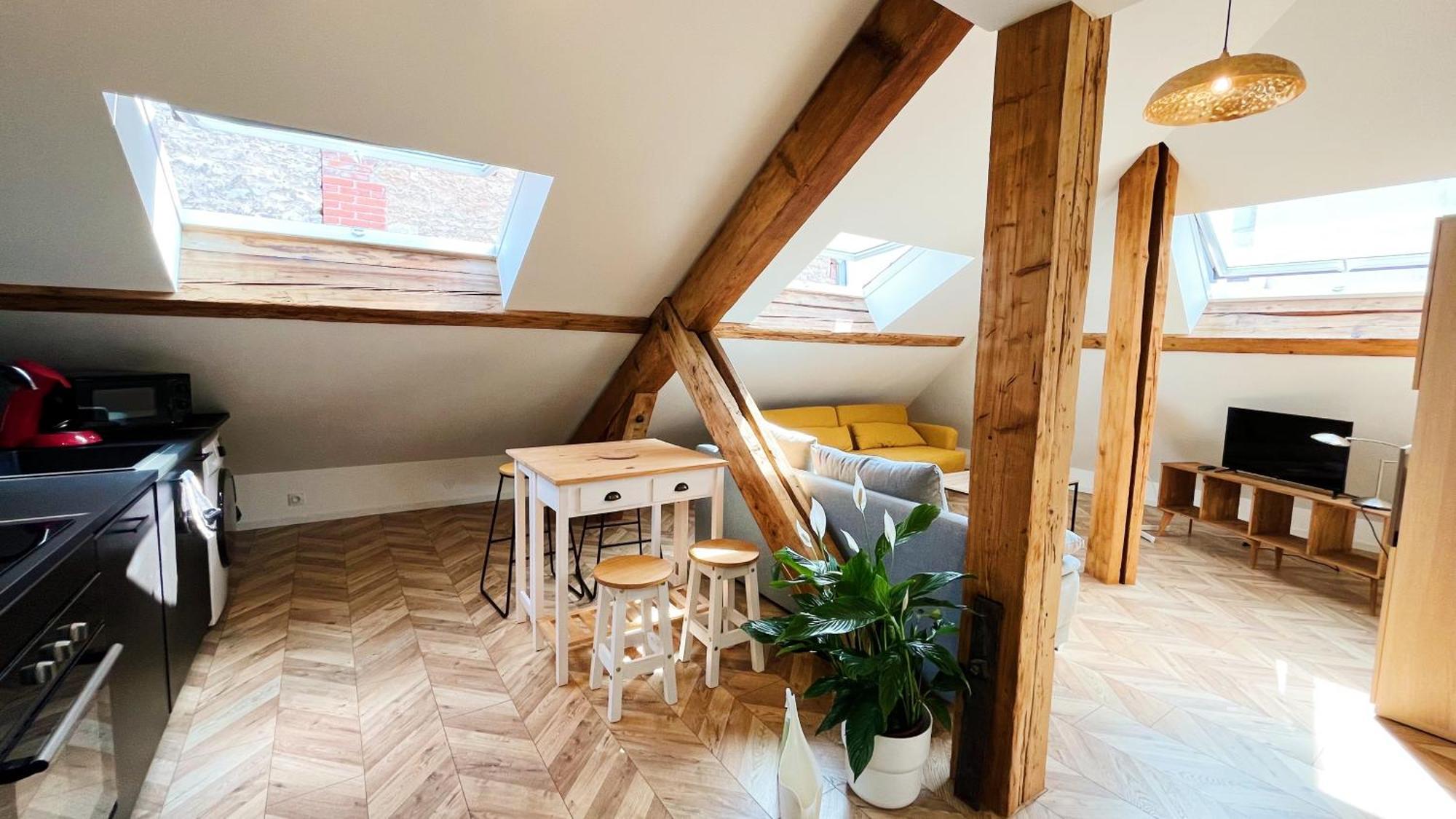 Les Appartements De Romain Et Julien Dijon Eksteriør bilde