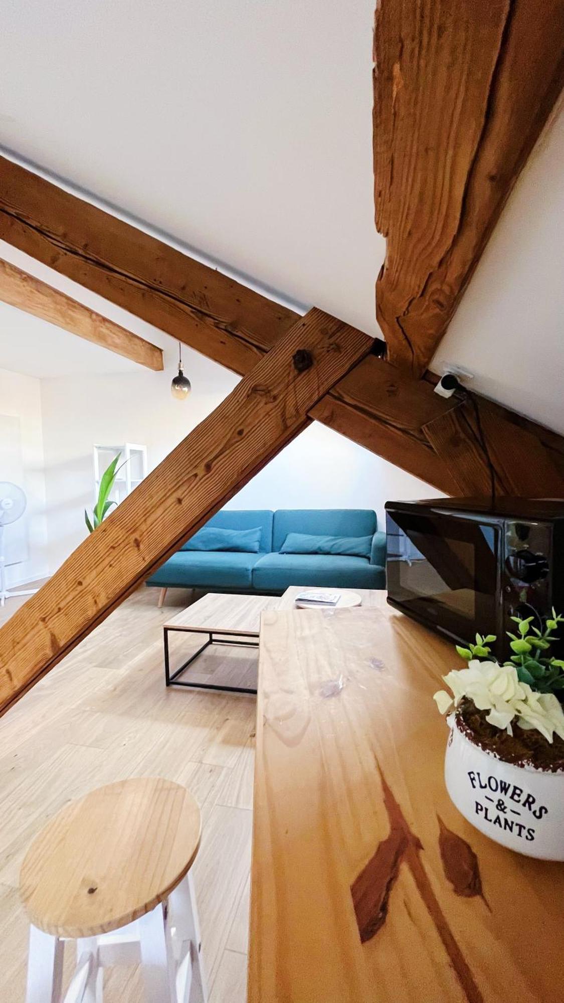 Les Appartements De Romain Et Julien Dijon Eksteriør bilde