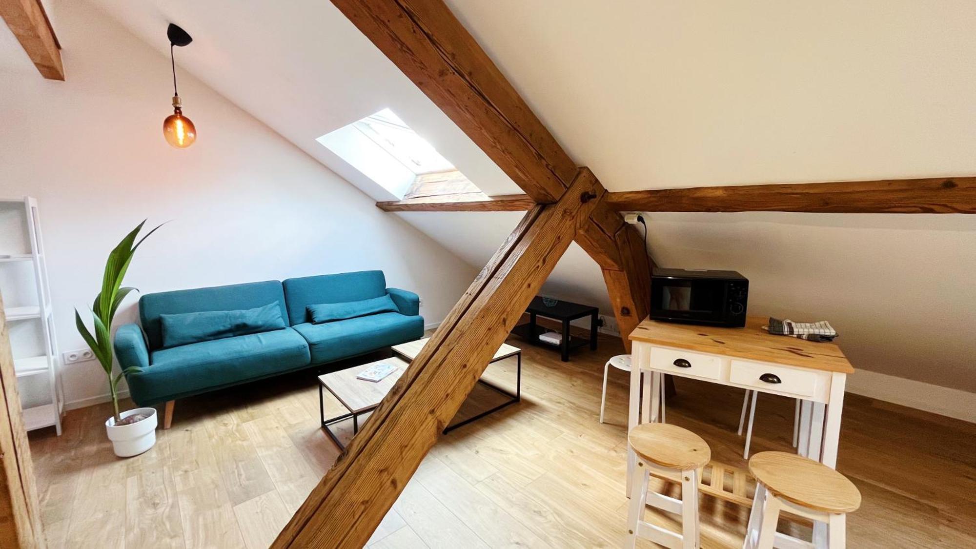 Les Appartements De Romain Et Julien Dijon Eksteriør bilde