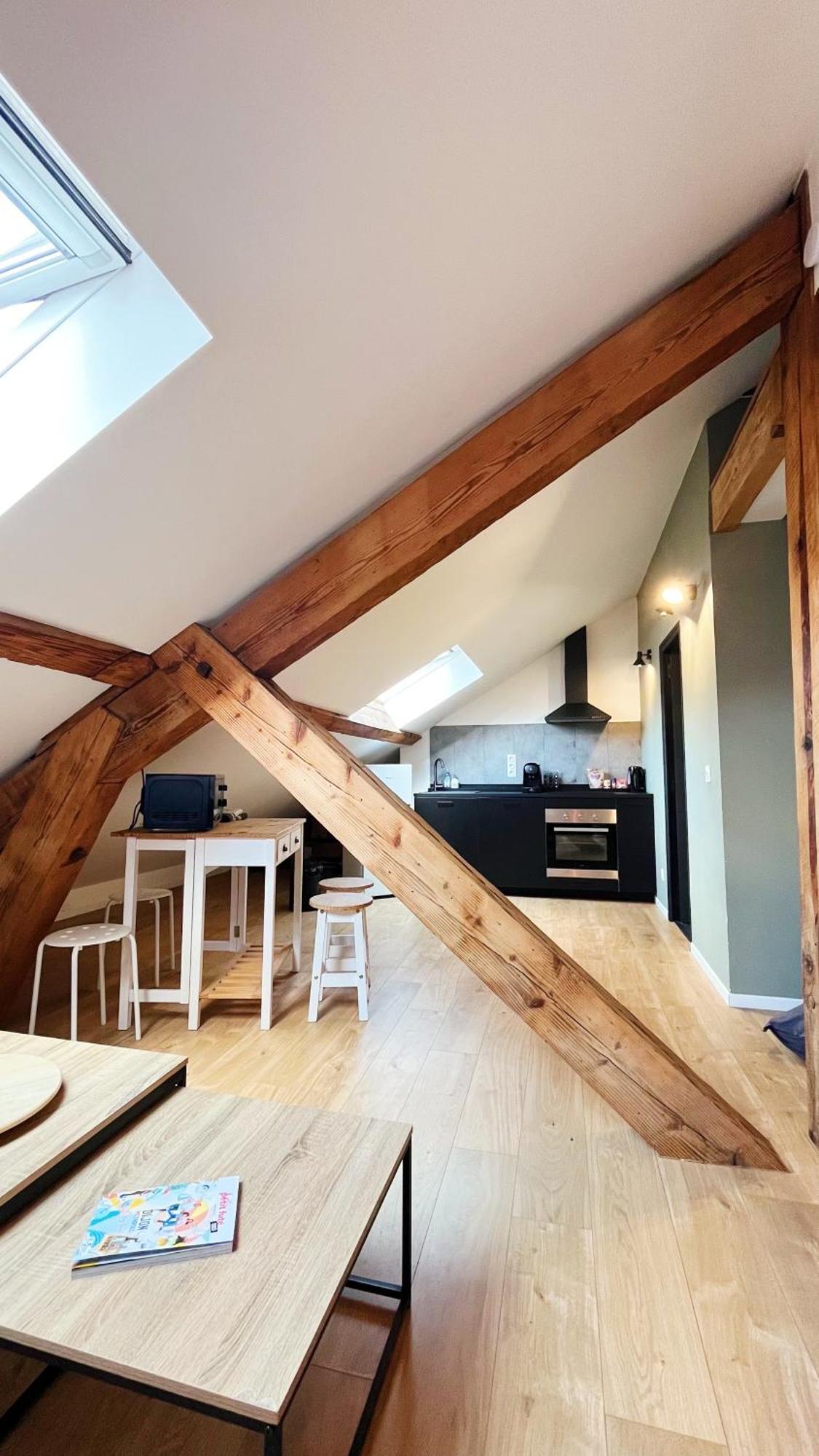 Les Appartements De Romain Et Julien Dijon Eksteriør bilde