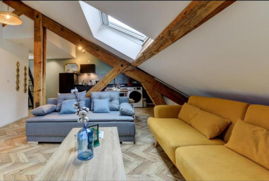 Les Appartements De Romain Et Julien Dijon Eksteriør bilde